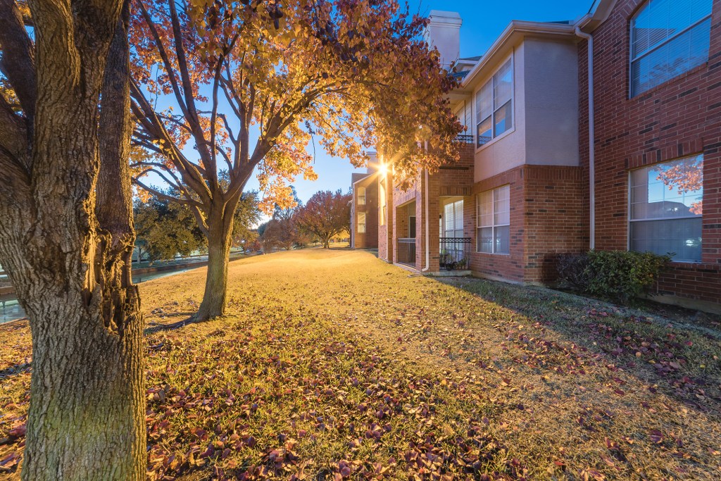 Beautiful view from backyard of apartment complex building at evening time during fall season. Pile of dried leaves on grass lawn and bright yellow fall foliage