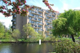 BRIDGE Housing is renovating the 184-unit Coronado Springs tower building in Seattle. Built in the mid-1960s, the property was acquired by Bridge Housing in 2016.