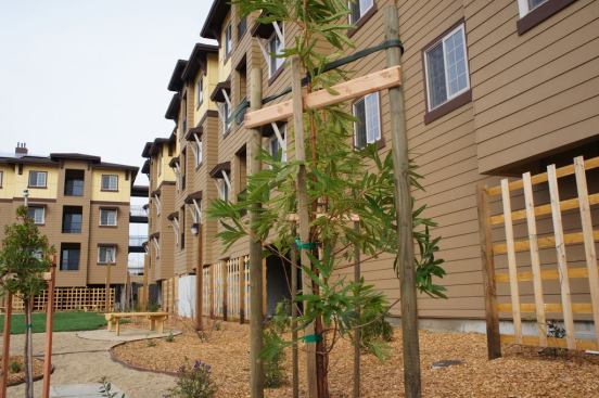 The $12.9 million development was financed with the help of several sources, including about $2 million from New Markets Tax Credits from the Northern California Community Loan Fund and investor U.S. Bank.