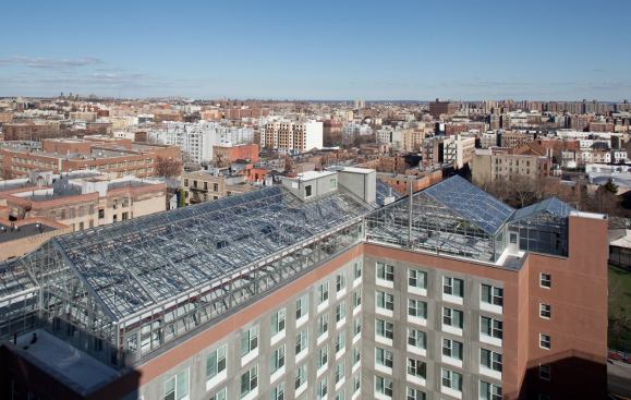 The development, which features a rooftop hydroponic farm, has earned LEED-Platinum, National Green Building Gold, and Energy Star certifications.