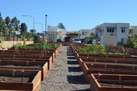 Community HousingWorks partnered with the city of Escondido to create a 9,400-square-foot community garden, which is open to Avocado Court residents and members of the surrounding neighborhood. The garden promotes healthy eating habits, helps residents save money on groceries, and engages an intergenerational group of individuals.