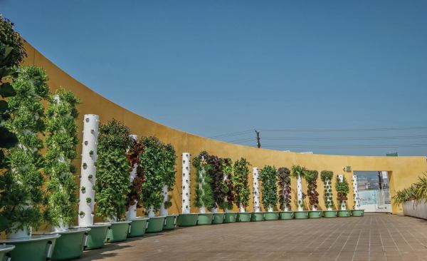 The roof of the structure features an edible aeroponic garden and outdoor seating.