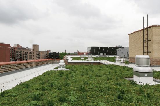 The project features a roughly 4,000-square-foot urban farm with produce, a small orchard, and a chicken coop.