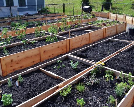 “The population of Provincetown is very active and very connected to each other, even the summertime, second-homeowner crowd,” says Michael Lozano, project manager for The Community Builders, developer of Province Landing.