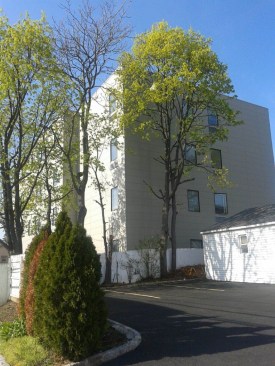 “Village Lofts showcases the kind of development possible within the Village, creating the kind of high-quality, affordable housing that is key to our community,” says Hempstead Mayor Wayne J. Hall, Sr.